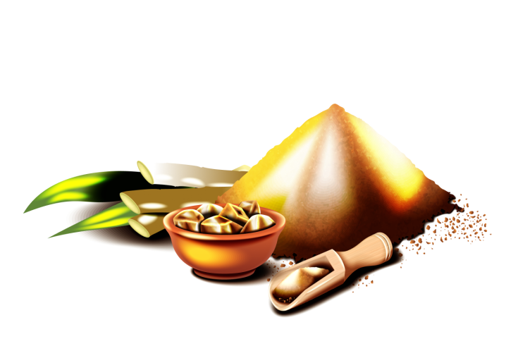 Pure products - jaggery, spices and sustainable tableware